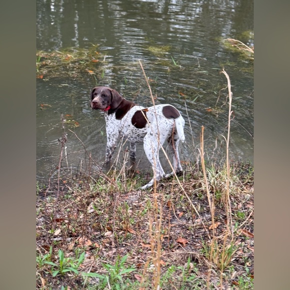 Hello! Thank you for checking out my closet! - Picture 9 of 11